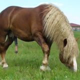 Avatar of user named "MISTERO"